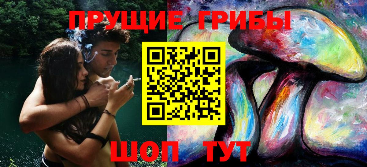 Галлюциногенные грибы Cubensis  Вход с VPN  Менделеевск 